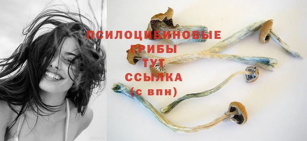 эйфоретик Баксан