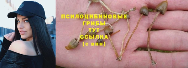гашик Балахна
