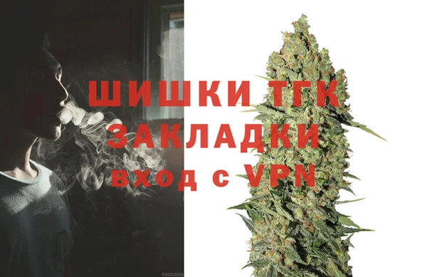 гашик Балахна