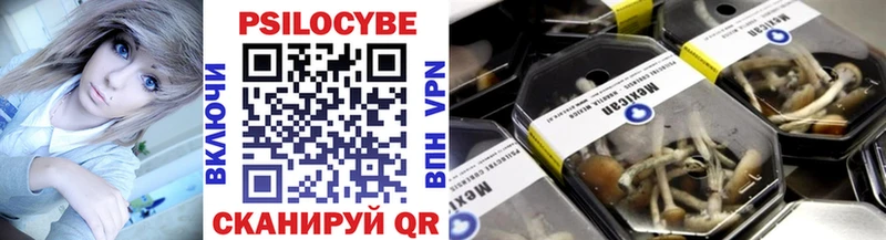 MEGA вход Сургут Псилоцибиновые грибы Psilocybe